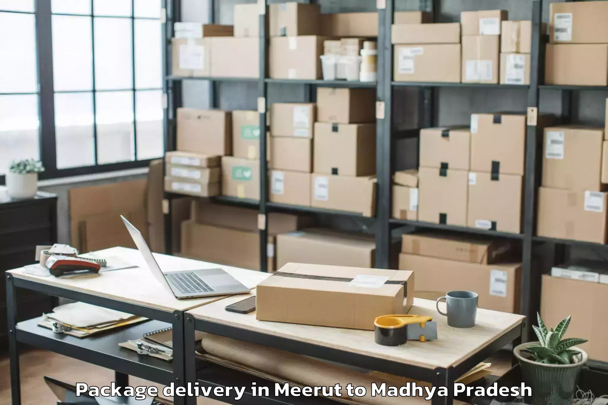 Top Meerut to Dhamnod Package Delivery Available